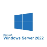 Microsoft Windows Server 2019/2022 Standard or Datacenter - Licenza - 10 licenze CAL utente